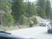 Yellowstone National Park