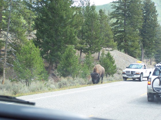 Yellowstone National Park