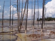 Yellowstone National Park