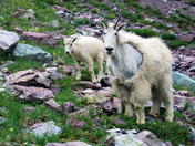 Glacier National Park