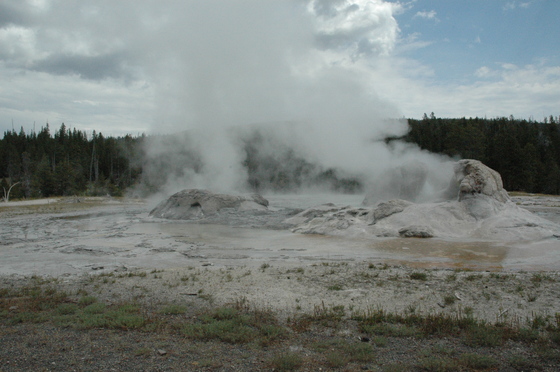 Yellowstone National Park