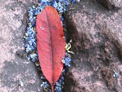Santa Monica Mountains National Recreation Area