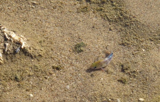 Death Valley National Park