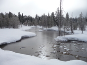 Yellowstone National Park