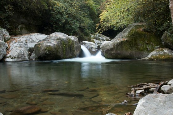 Great Smoky Mountain National Park