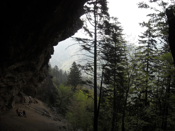 Great Smokey Mountains National Park