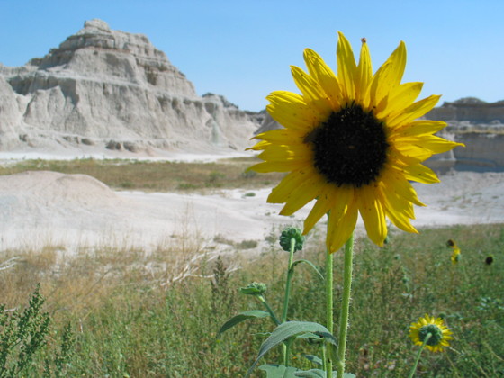 Badlands National Park