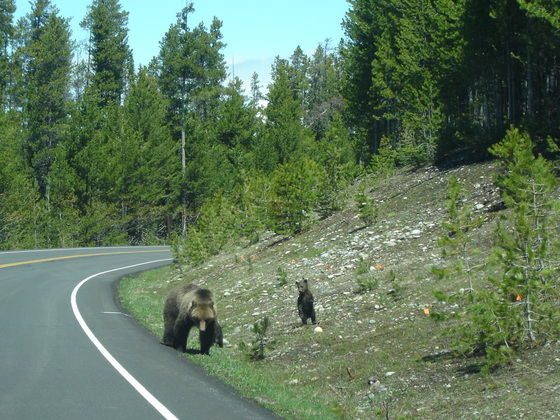 Grand Tetons