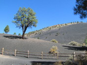 Sunset Crater Volcano National Monument