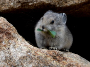 Rocky Mountain National Park