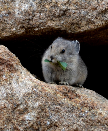 Rocky Mountain National Park
