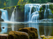 Giford Pinchot National Forest
