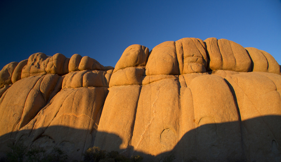 joshua tree national park