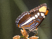 red rock canyon national conservation area