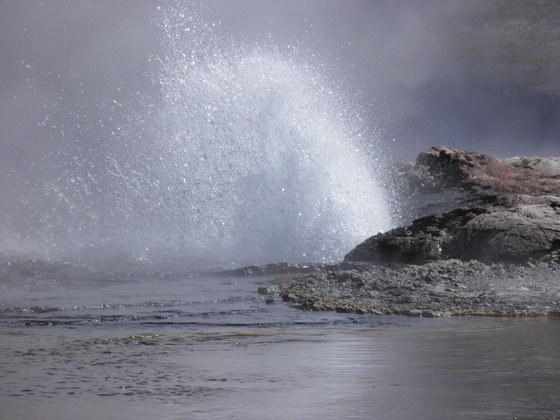 Yellowstone
