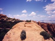 Arches National Park