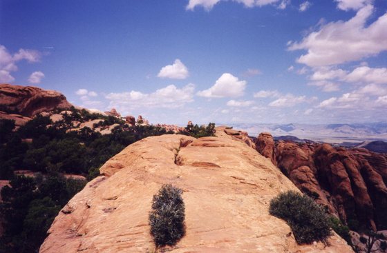 Arches National Park