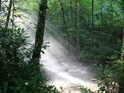 Great Smoky Mountains National Park