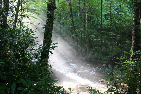 Great Smoky Mountains National Park
