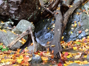 Delaware Water Gap National Recreation Area