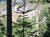 Great Smoky Mountains National Park