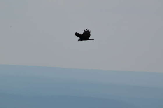 Delaware Water Gap National Recreation Area