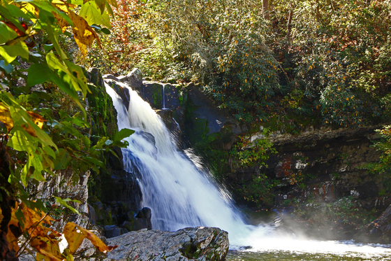 Great Smoky Mountains National Park