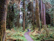 Olympic National Park