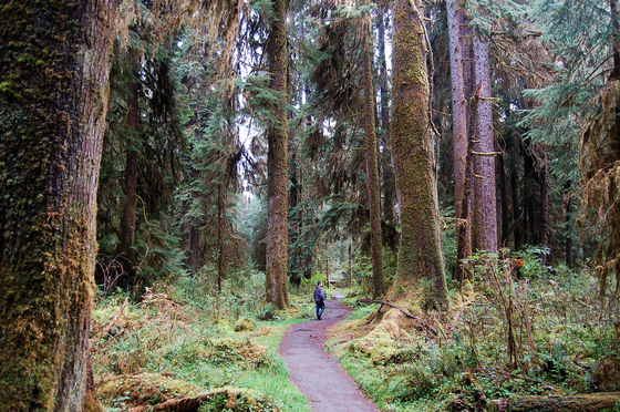 Olympic National Park