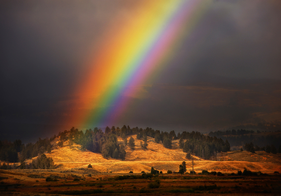 Yellowstone National Park