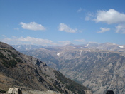 Custer National Forest