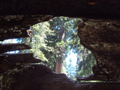 King's Canyon National Park