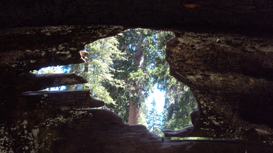 King's Canyon National Park