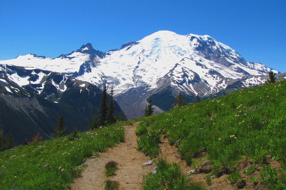 Mount Rainier National Park