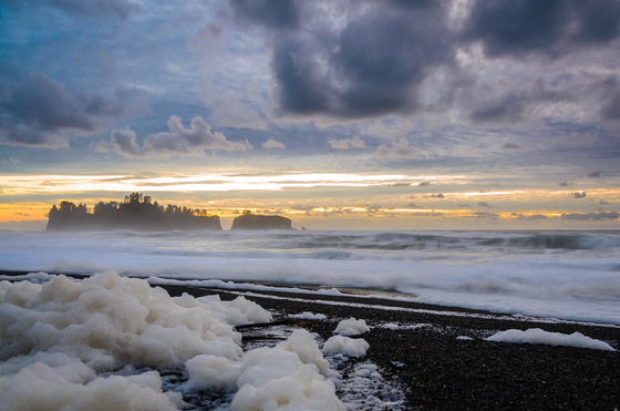 Olympic NP