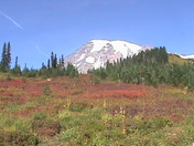 Mount Rainier National Park