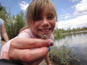 Tahoe National Forest