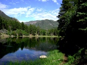 dixie national forest "pine valley"
