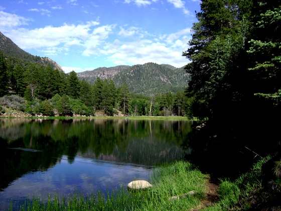 dixie national forest "pine valley"