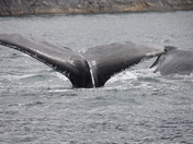 Admiralty Island National Monument Alaska