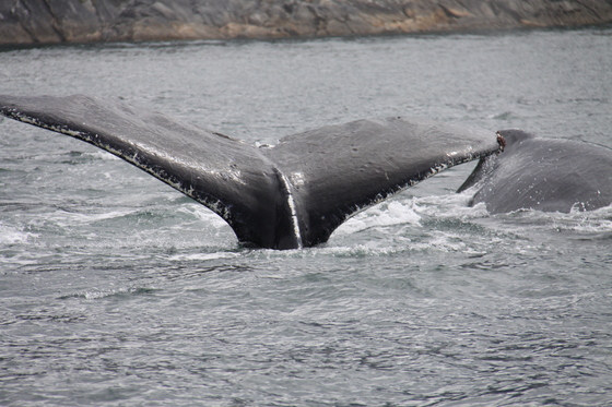 Admiralty Island National Monument Alaska