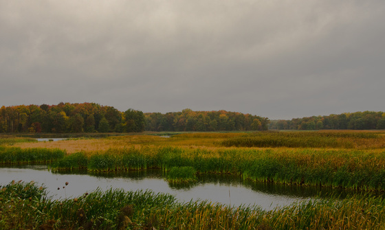 Bombay Hook National Refuge