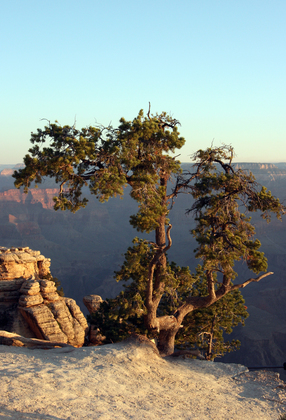 Grand canyon