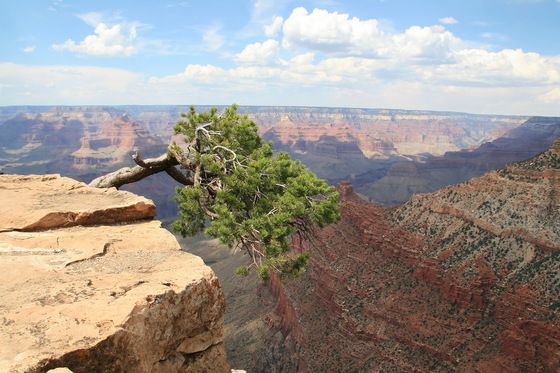 Grand Canyon National Park