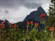 Glacier National Park
