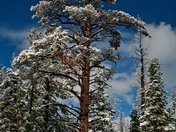 Bryce Canyon National Park