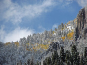 Uncompahgre National Forest
