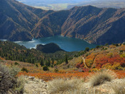 Gunnison National Forest