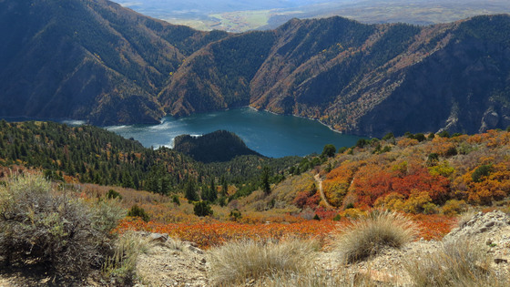 Gunnison National Forest