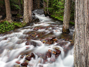 Glacier National Park